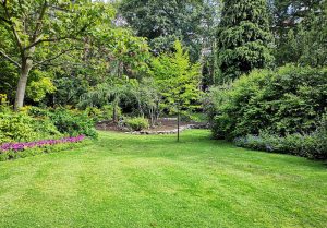 Optimiser l'expérience du jardin à Wismes